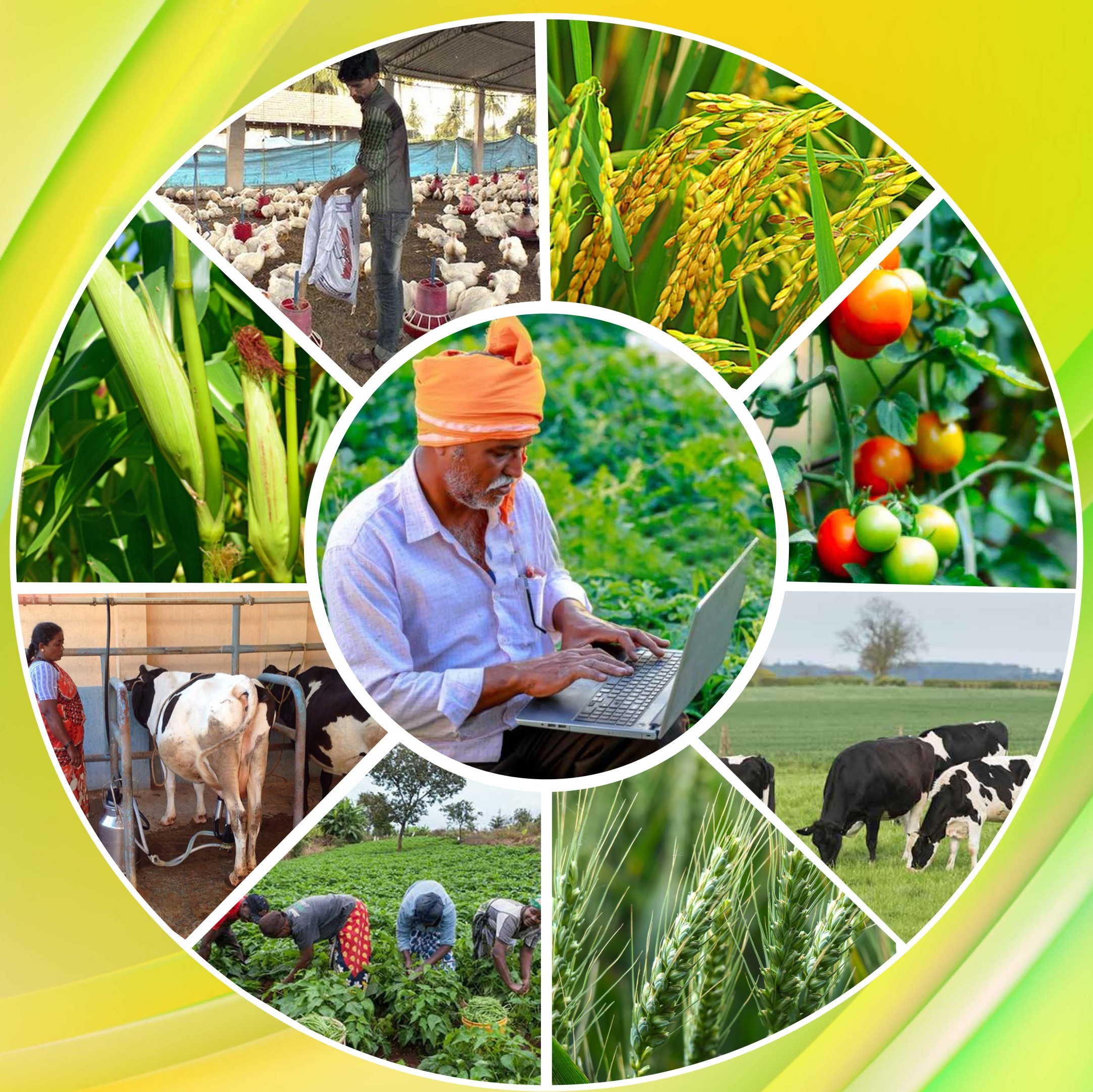 Different Sectors of Entrepreneurship in Agriculture