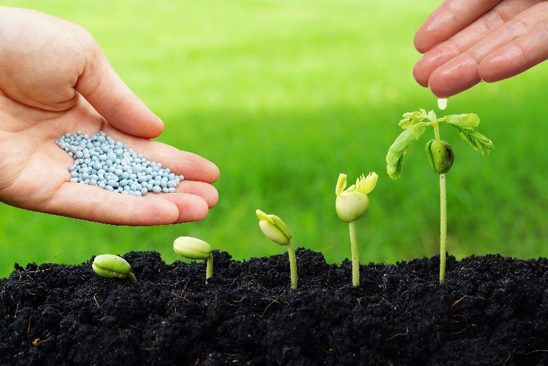 Biofertilizers and Its Importance in Agriculture