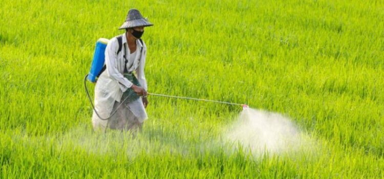 Impact of Pesticides on Soil Health