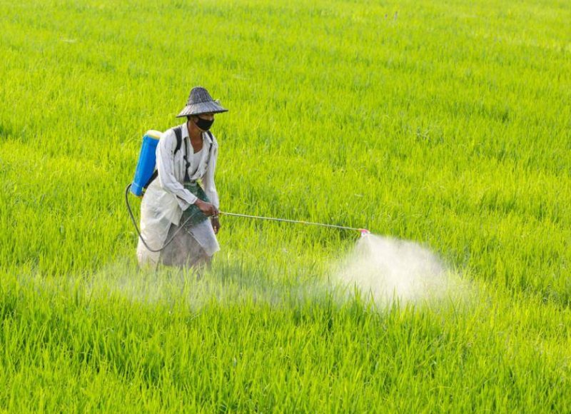 Impact of Pesticides on Soil Health