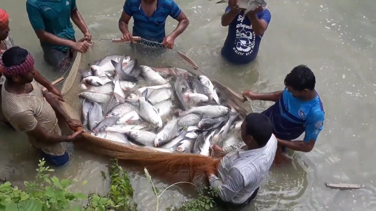 What is the Fish Farming