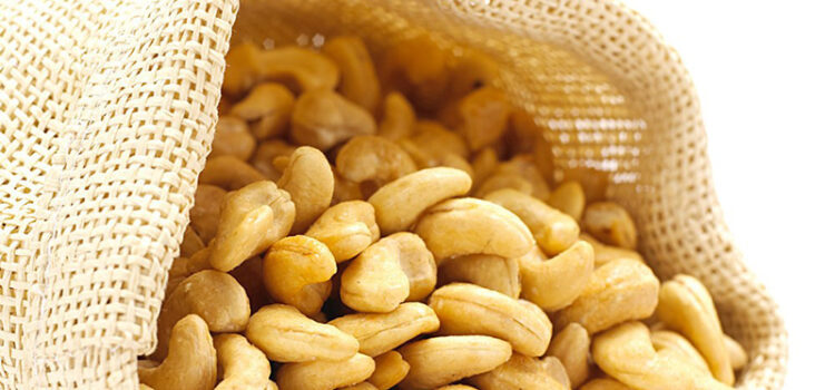 Harvesting & Processing of Cashew nut and Marketing Strategies