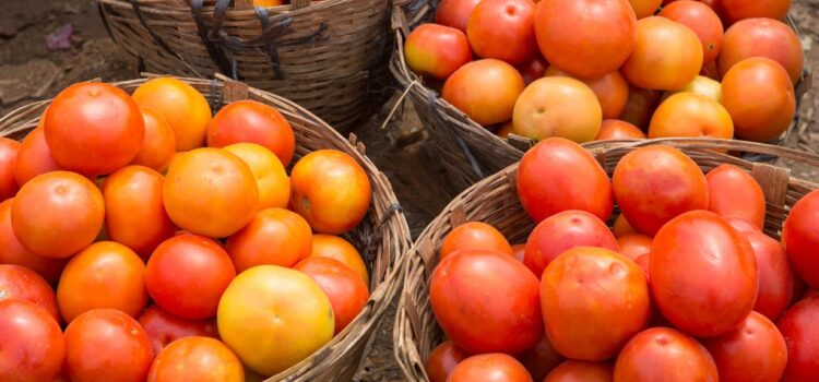 Tomato Prices Surge to ₹250/kg; Centre Offers Relief at ₹90/kg in Delhi-NCR, Patna, Lucknow