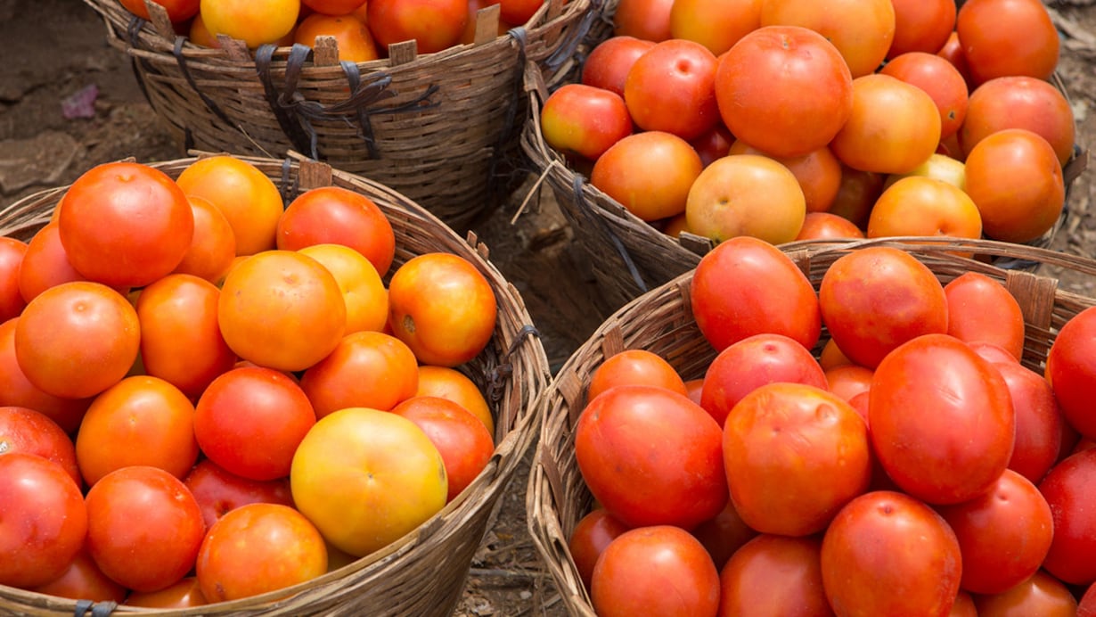 Tomato Prices Surge to ₹250/kg | Relief at ₹90/kg in Delhi | Patna