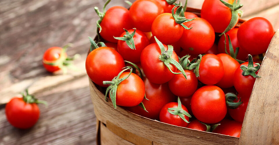 Tomato-Varieties-