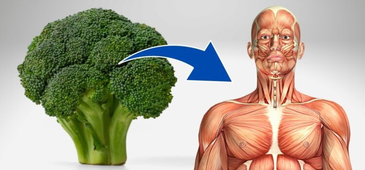 Health Benefits of Broccoli & Its Nutrients Value