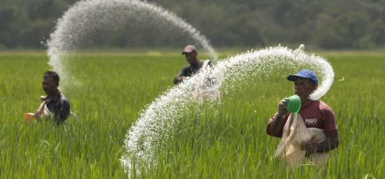 Maharashtra Cracks Down on Hyderabad-based Company in Fake Fertilizer Scam, Exploiting Farmers’ Trust