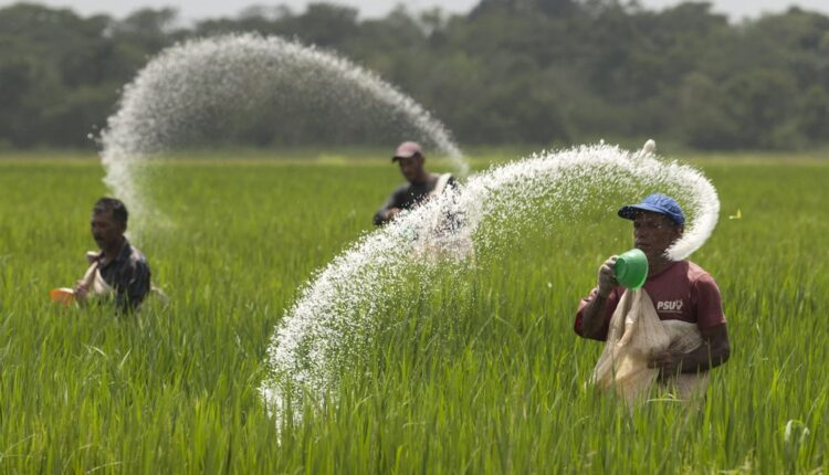 Maharashtra Cracks Down on Hyderabad-based Company in Fake Fertilizer Scam, Exploiting Farmers’ Trust