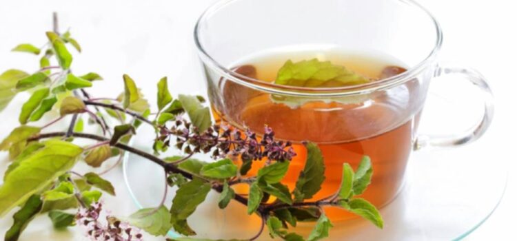 Amazing Health Benefits of Tulsi (Holy Basil)& its Nutrient Value
