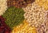 Pulses Face Soaring Prices, Impacting Consumers and Farmers Alike