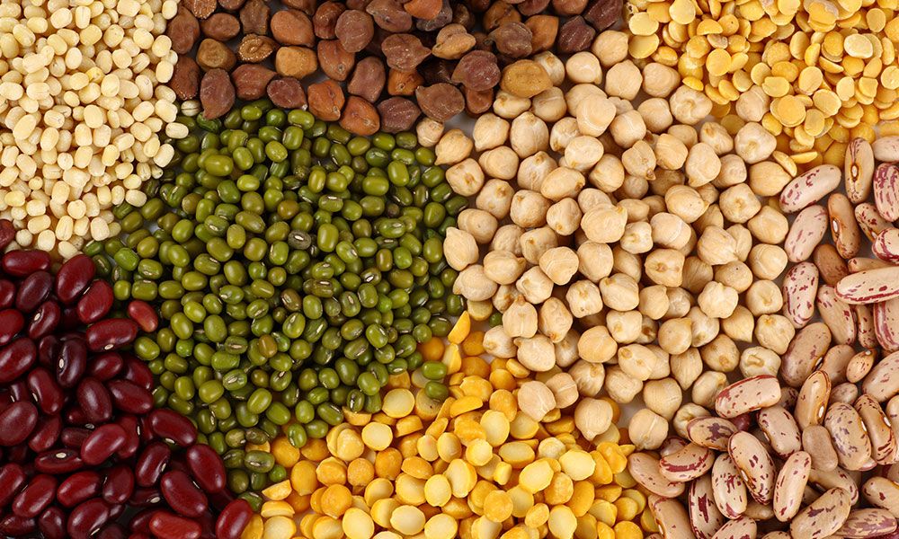 Pulses Face Soaring Prices, Impacting Consumers and Farmers Alike